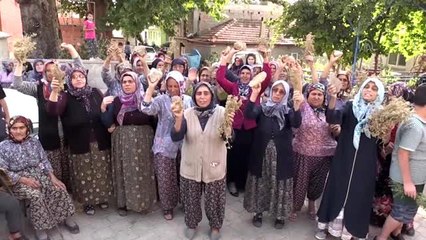 Taş ocağı protestosu