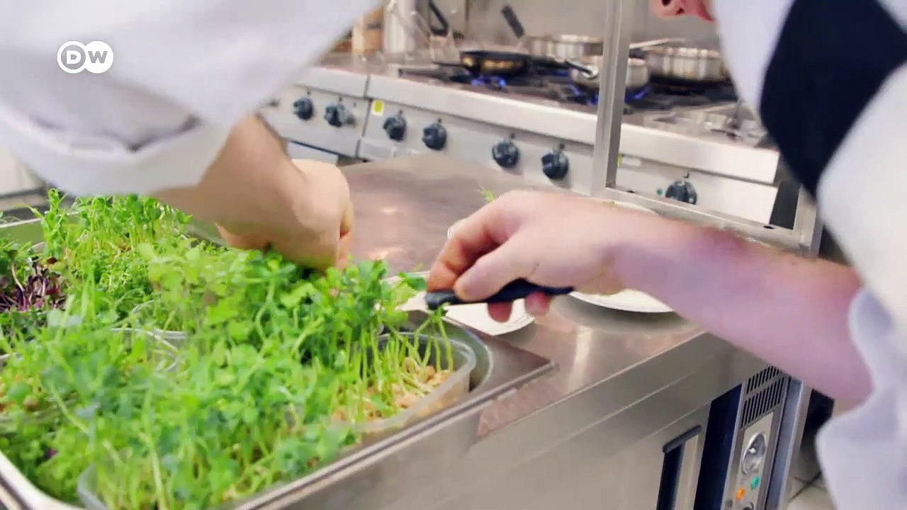 Treffpunkt der Stars in Venedig | Euromaxx