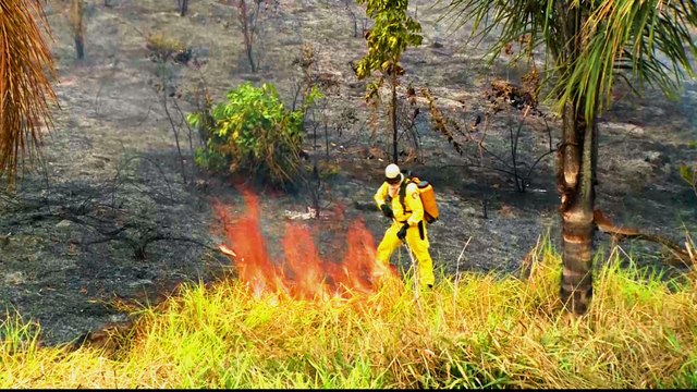 Amazon fires: burning continues despite ban