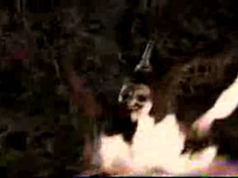 Sepultura Pavarotti- Roots Bloody Roots Vs Pavarotti