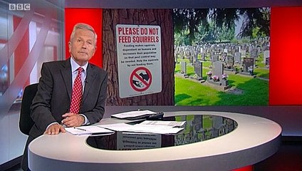 BBC1_Look North (East Yorkshire & Lincolnshire) 29Aug19 - squirrels causing mayhem