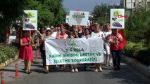 İzmir urla bağ bozumu şenliği başladı