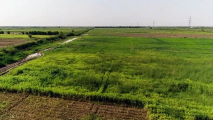 قطاع الزراعة.. ملف واعد بالسودان ينتظر إصلاحات حكومية