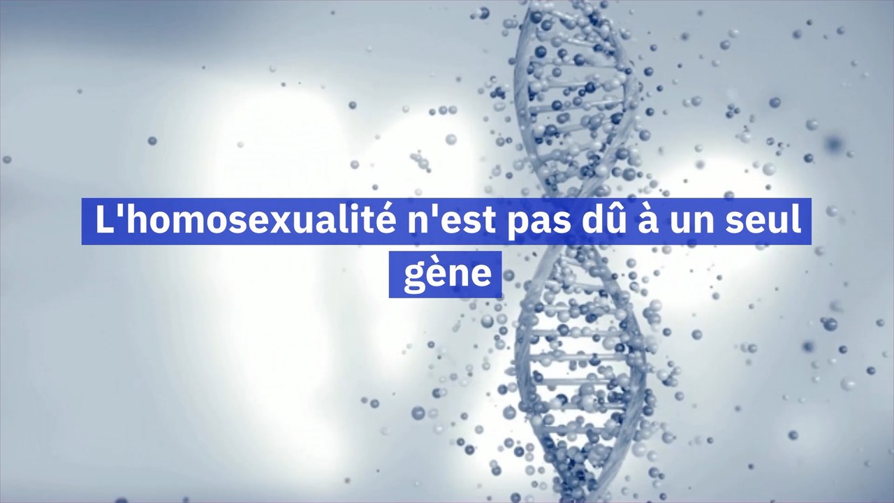 Non, l'homosexualité n'est pas dû à un gène particulier
