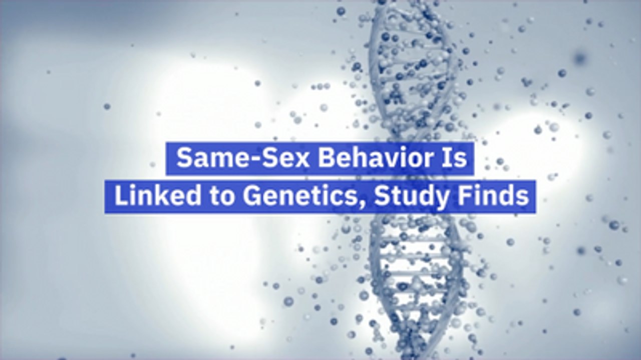 Attraction Starts In The Genetics