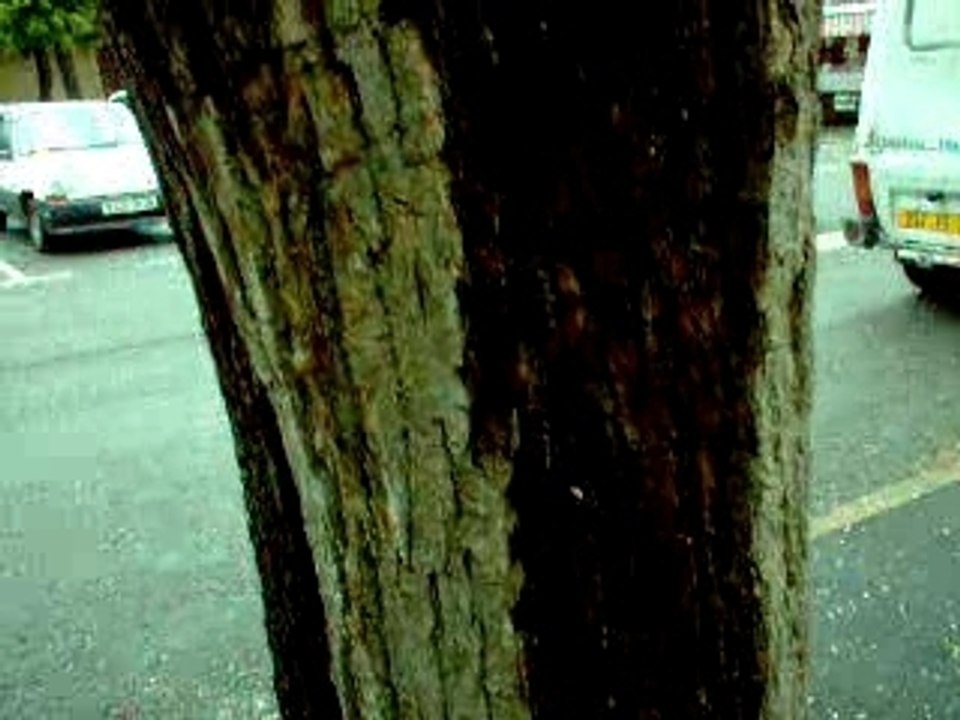 Golf R32 au démarrage