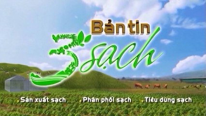 Bản tin 3 sạch - 31/08/2019