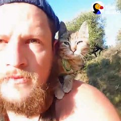 Yavru bir kediyle dünya turu