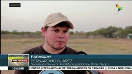 Paraguay: procedimientos de control de quema no se cumplen