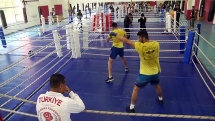 Erkek Milli Boks Takımı'nın Kastamonu kampı başladı