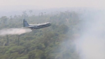 브라질, 美에 아마존 산불 사태 지원 요청 / YTN