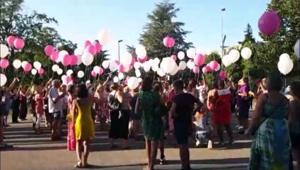 Cognin : un lâcher de ballons en hommage à "princesse " Zoé