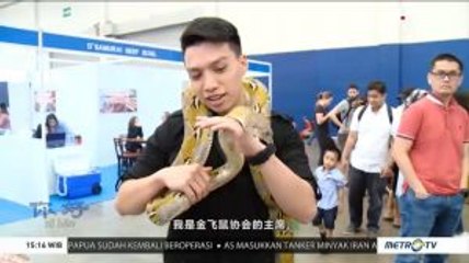 Seru! Melihat Hewan di Festival Pet Jakarta