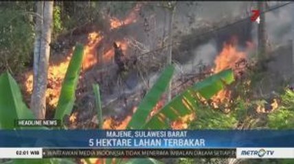 Karhutla di Perbukitan Segeri Semakin Meluas