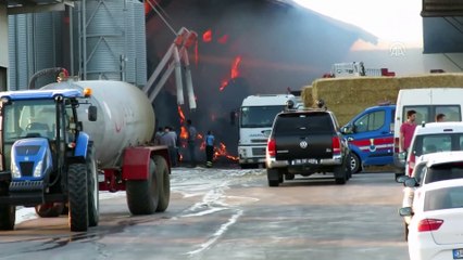 Hayvan çiftliğinde yangın - KIRKLARELİ