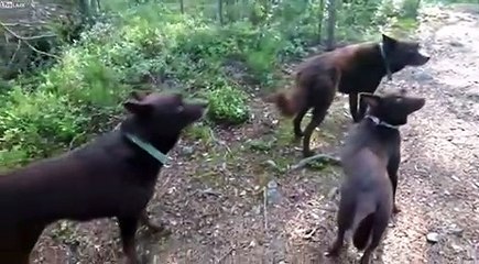 اكاد لا اصدق ما اراه