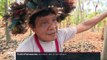 Amazonie : les tribus amérindiennes au secours de la déforestation