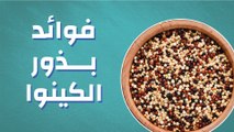 فوائد بذور الكينوا