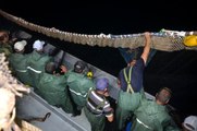 Karadenizli balıkçılar balık sezonunu açtı, denizden istavrit çıktı