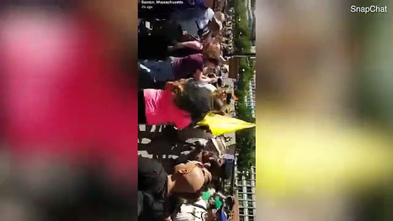 Protesters clash at 'Straight Pride' parade in Boston