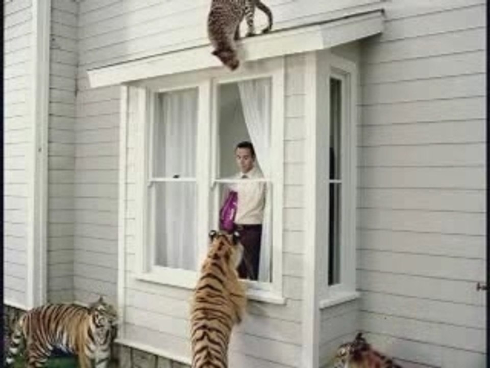Whiskas