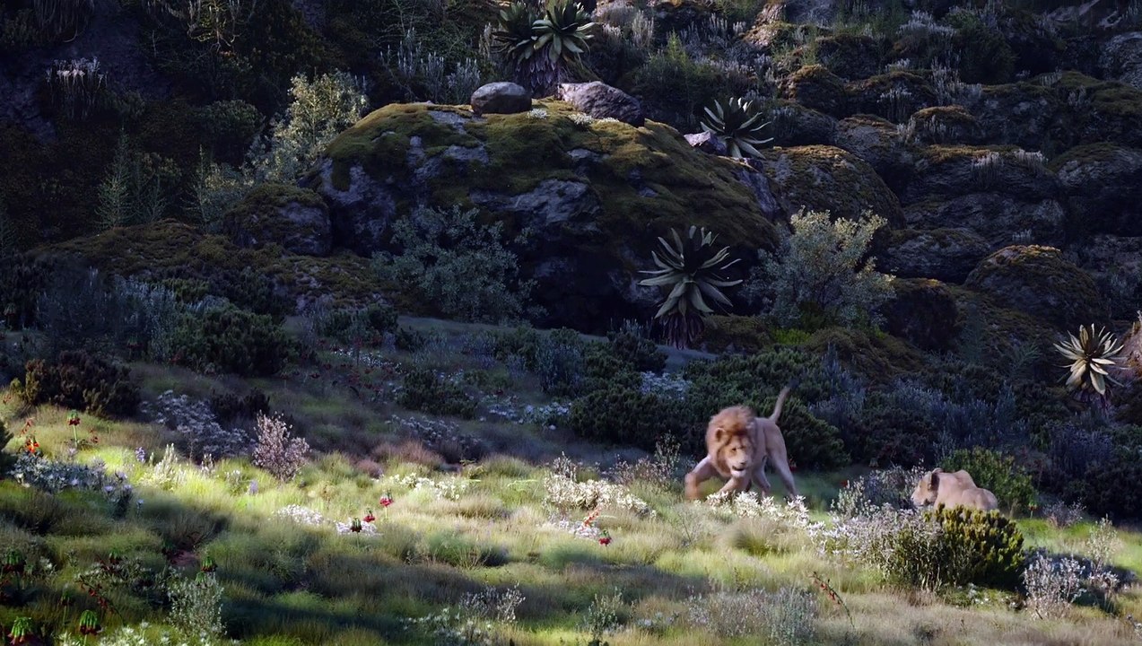 Le Roi Lion Film (2019) - Chanson - L'amour brille sous les étoiles