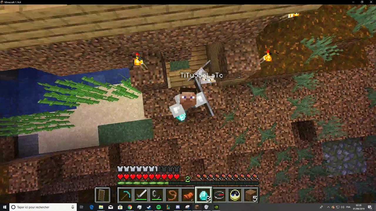 DidiCraft- Diamant