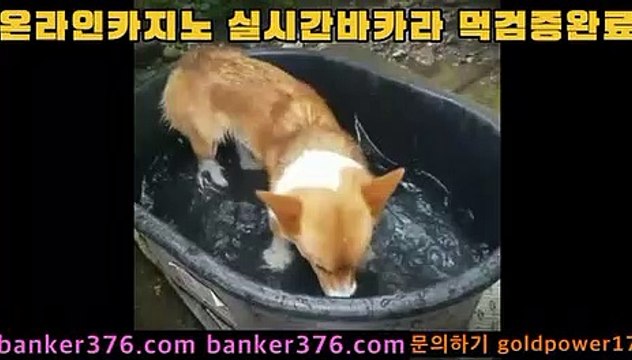 바카라사이트 golca77.com 카지노사이트 golca77.com 마이다스카지노 golca88.com 모바일카지노 golca95.com 카지노 banker376.com 개츠비카지노 banker19.com 온라인바카라 golca77.com COD카지노 https: