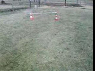 Moi a cheval ( petit obstacle de rien du tou )  50cm