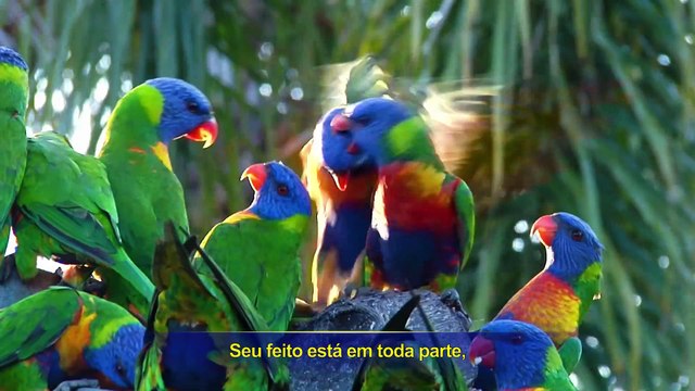 Música gospel Aquele que detém a soberania sobre tudo Clipe 4 - A criação do mundo de Deus