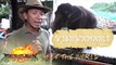 Kim Atienza features Mali, the lone elephant in the Philippines | Matanglawin