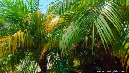 Mcleodganj Sightseeing | Mcleodganj Trip - Part 2