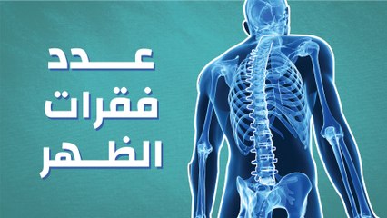 عدد فقرات الظهر