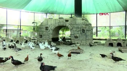 Tarsus hayvan parkı'nda hayvanların ömrü uzuyor