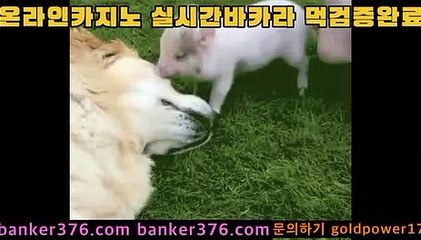 바카라사이트   https://www.golca77.com       카지노사이트   http://golca77.com 마이다스카지노 https://www.golca88.com 모바일카지노   https://www.golca95.com 카지노         https://www.banker376.com 개츠비카지노   https://www.banker19.com 온라인바카라   https://www.golca77.com COD카지노      https:
