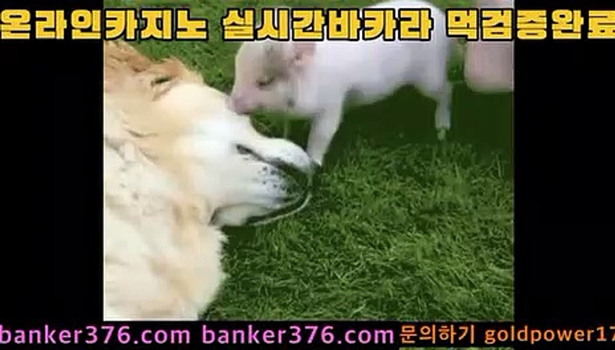 바카라사이트   https://www.golca77.com       카지노사이트   http://golca77.com 마이다스카지노 https://www.golca88.com 모바일카지노   https://www.golca95.com 카지노         https://www.banker376.com 개츠비카지노   https://www.banker19.com 온라인바카라   https://www.golca77.com COD카지노      https: