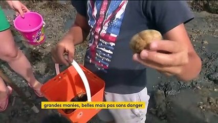 Grandes marées : attention danger !