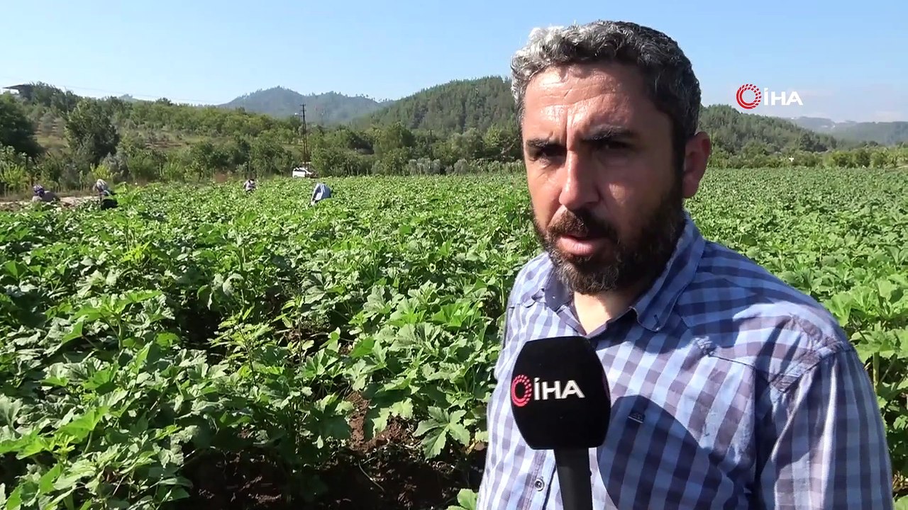 Hobi Olarak Başladı Ticarete Çevirdi