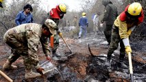 Amazon fires: Soldiers join volunteers to battle fire