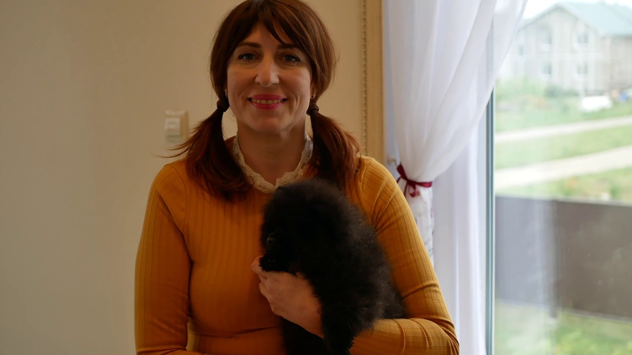 Mein neuer Pomeranian Wurf!