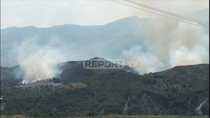 Report TV - Zjarr në Selenicë, digjen kullota dhe pyje