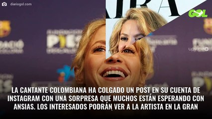 La “¡terrible y demoledora!” foto de Shakira en la playa: “¡Pobrecita!”