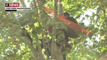 Un homme perché dans un arbre à Paris pour sauver des arbres dans le Gers