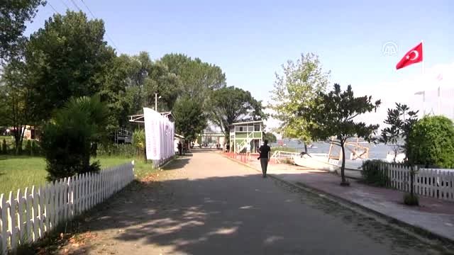 Deniz Küreği Türkiye Şampiyonası