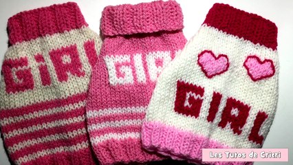 DIY Tricot: Petit Pull pour chiens de' 2,5 kg à 3 kg (taille 4)