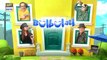 Bulbulay S 2  Ep 17  1st September 2019  ARY Digital Drama