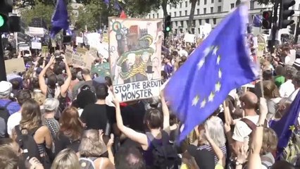 Regno Unito: migliaia in corteo contro la sospensione del Parlamento