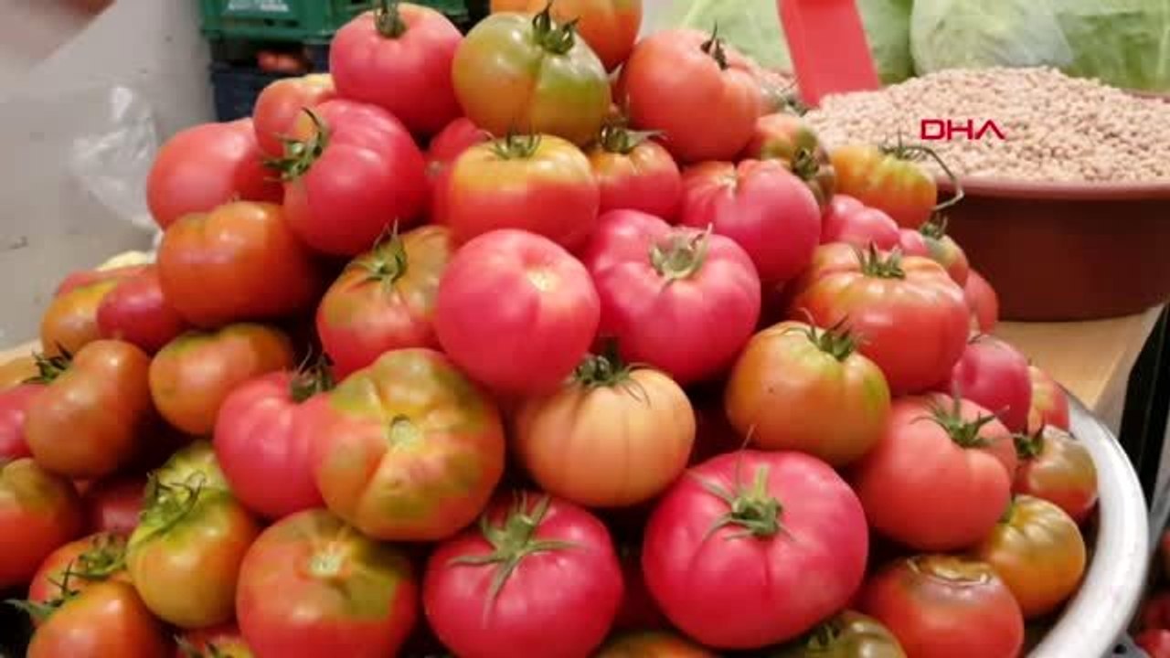 Niğde ulukışla'da tarih, kültür ve sanat festivali coşkusu yaşandı