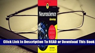 Online Neuroscience for Dummies  For Kindle