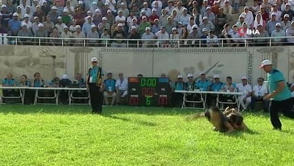Dünya Aba Güreşi Şampiyonası başladı